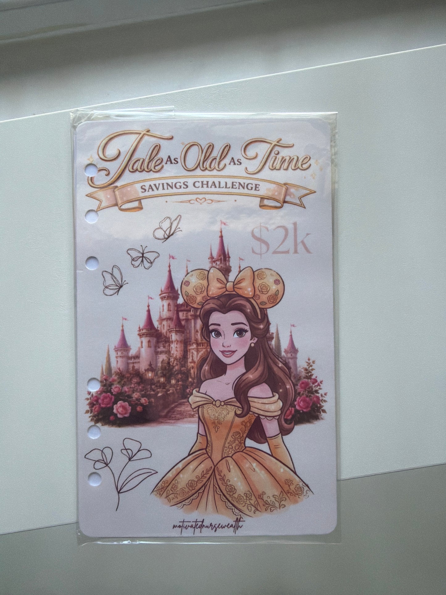 ✨ Princess Savings Challenge Binder Collection