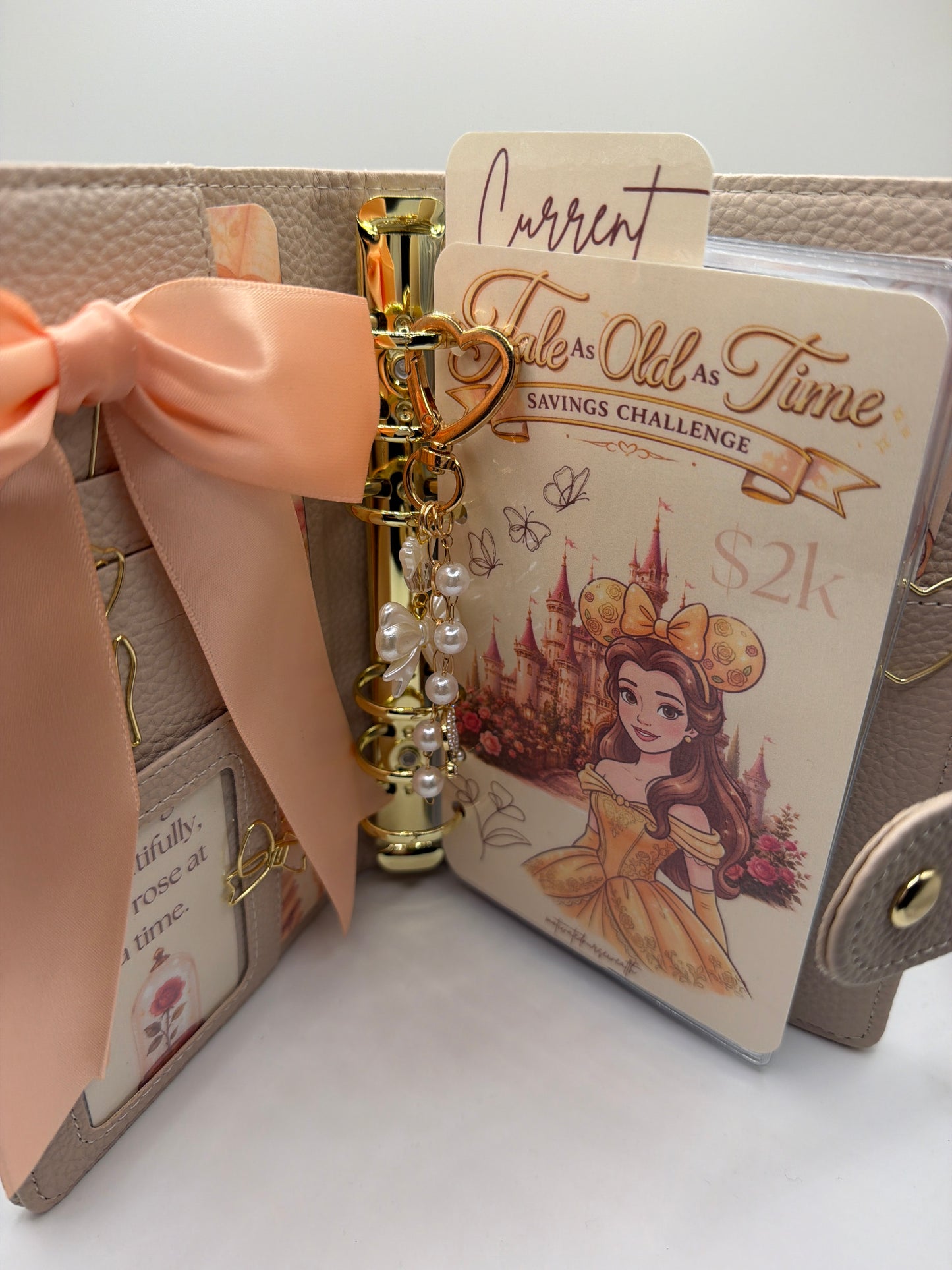 ✨ Princess Savings Challenge Binder Collection
