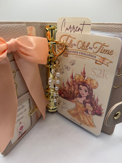✨ Princess Savings Challenge Binder Collection