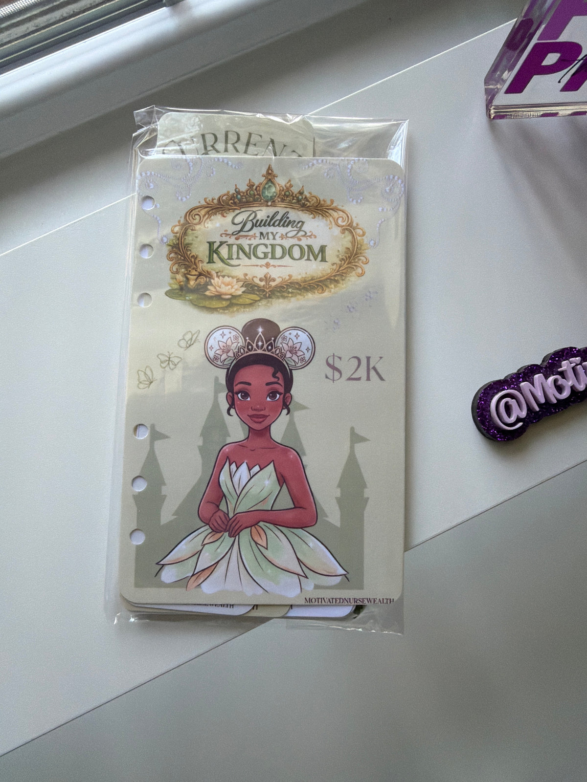✨ Princess Savings Challenge Binder Collection